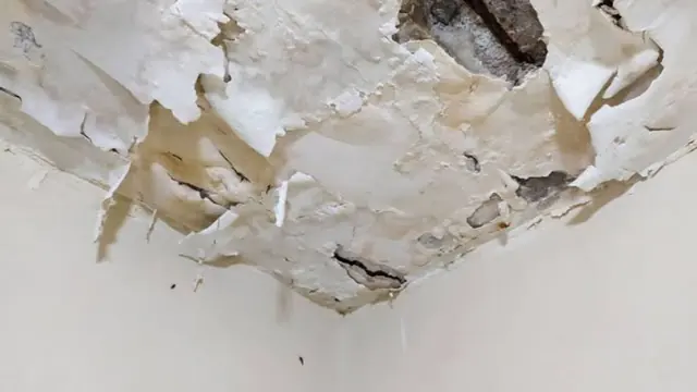 Peeling paint and plaster at a water-damaged ceiling corner
